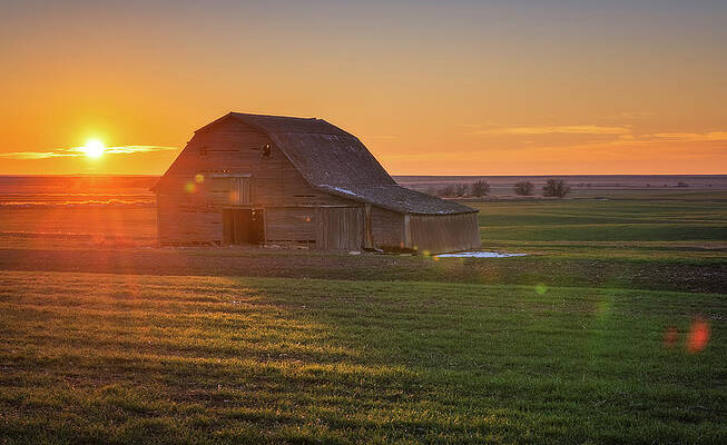 The old barn at golden hour